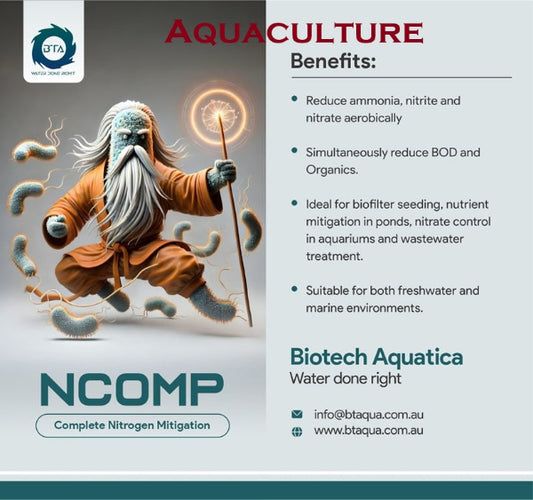 NCOMP AQUACULTURE - Complete Nitrogen reduction microbes