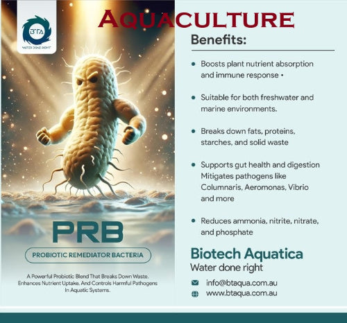 PRB AQUACULTURE– Probiotic Remediator Bacteria